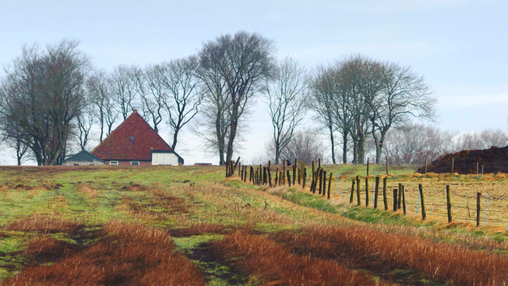 A rural farm in Hollands Kroon