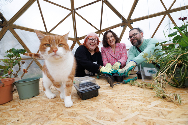 Three people planting in a greenhouse with a cat in the foreground